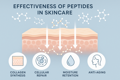 what makes peptides so effective?